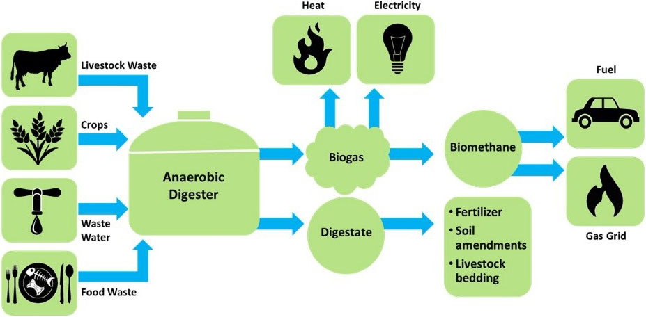 Bio Gas Process