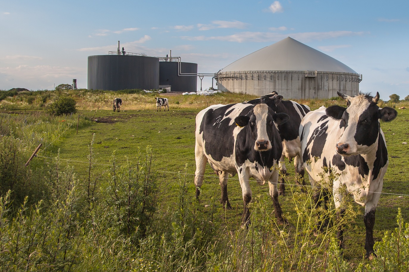 What is Biogas?